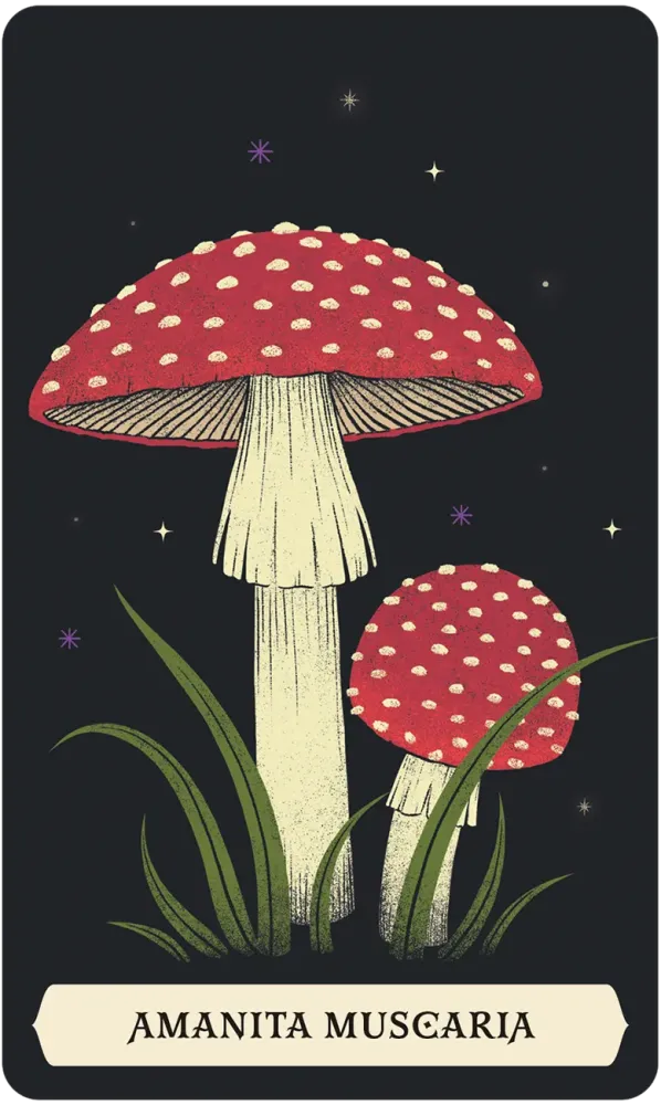 Secret Oracle of The Green Witch 