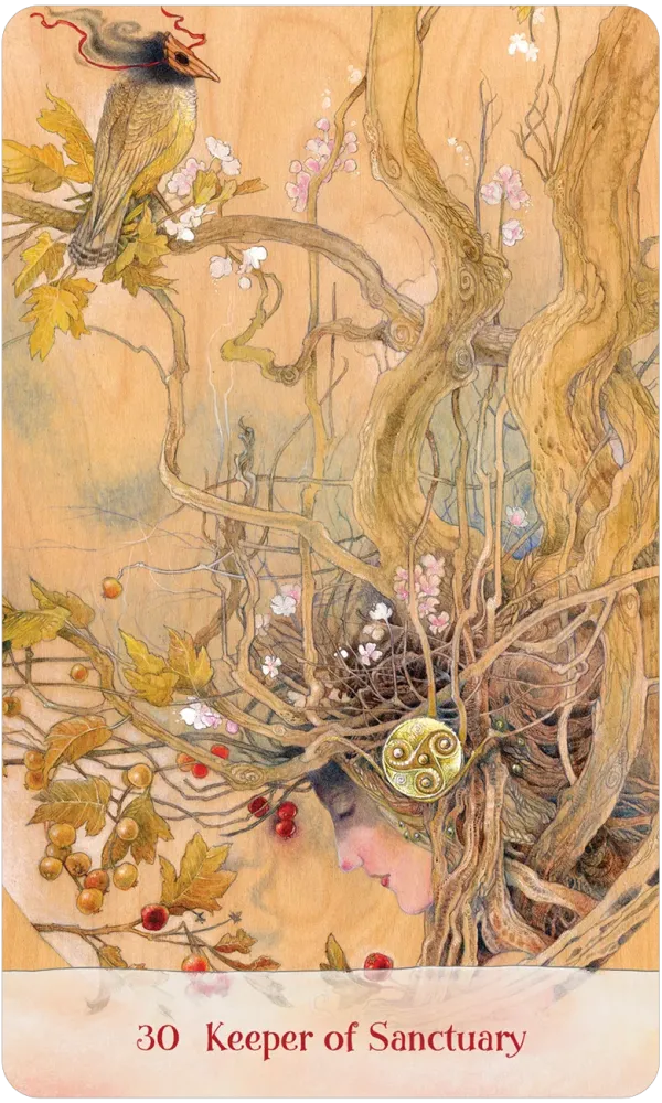 Tree Keepers Oracle Cards by Sullins & Law    