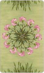 Wing, Hoof and Paw: An Animal Companion Oracle