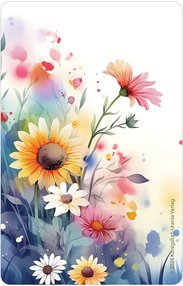 Colorful floral design with sunflowers and daisies on a white background