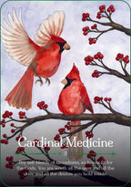 Two red cardinals on a branch with berries and a quote about 'Cardinal Medicine'.