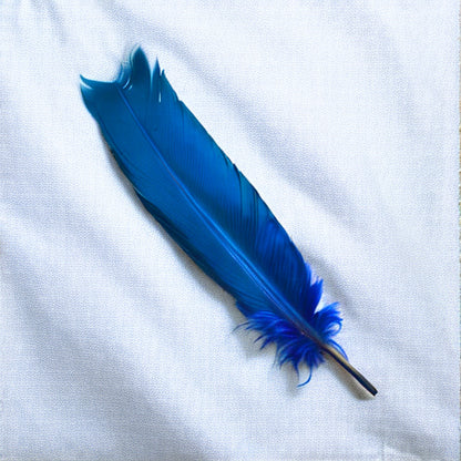 Dyed Blue Turkey Feathers