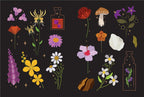 A flat illustration sheet featuring various botanical and mystical elements, including colorful flowers, butterflies, a mushroom, crystals, and two potion bottles, arranged on a dark background.