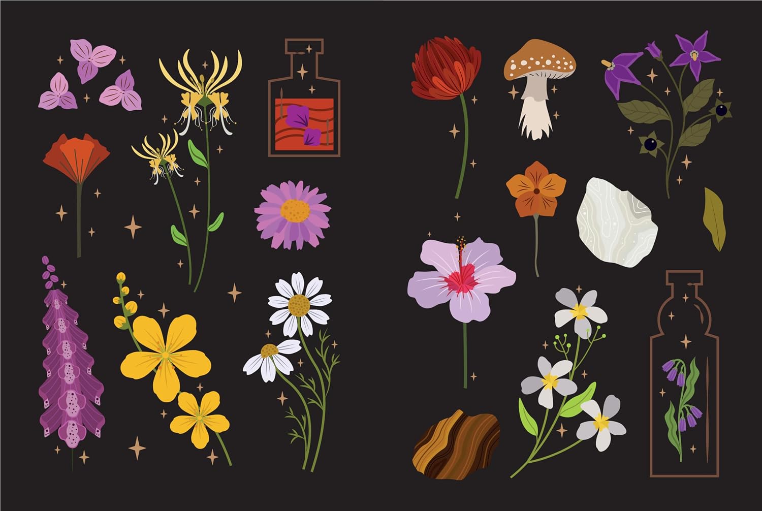 A flat illustration sheet featuring various botanical and mystical elements, including colorful flowers, butterflies, a mushroom, crystals, and two potion bottles, arranged on a dark background.