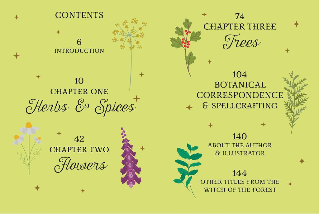 A flat book-cover style layout on a pale yellow-green background with black text outlining the contents of a book titled "The Witch of the Forest." Decorative botanical illustrations in yellow, red, purple, green, and white are scattered around the cover.