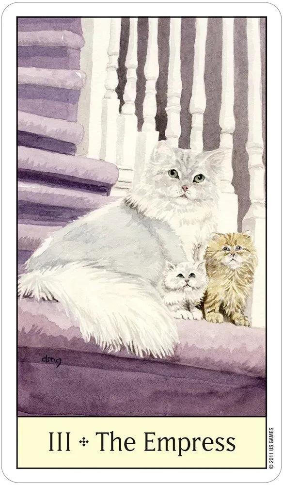 Cat's Eye Tarot Deck by Debra Givin