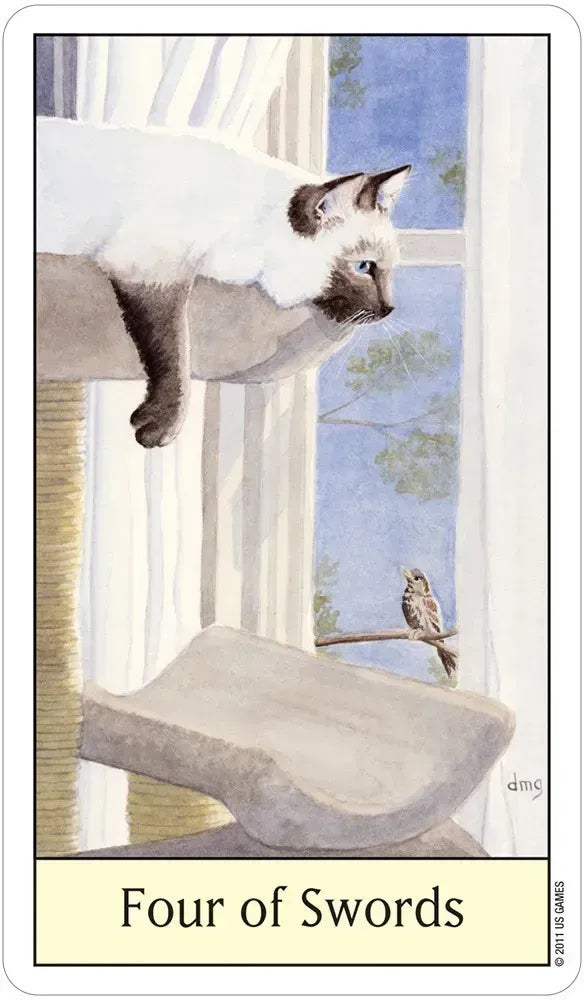 Cat's Eye Tarot Deck by Debra Givin