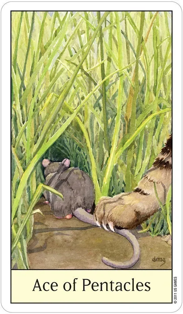 Cat's Eye Tarot Deck by Debra Givin