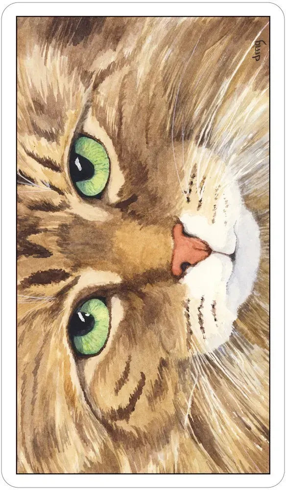 Cat's Eye Tarot Deck by Debra Givin