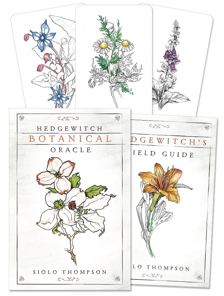 Hedgewitch Botanical oracle by Siolo Thompson