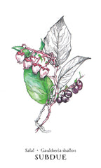 Hedgewitch Botanical oracle by Siolo Thompson