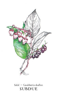 Hedgewitch Botanical oracle by Siolo Thompson