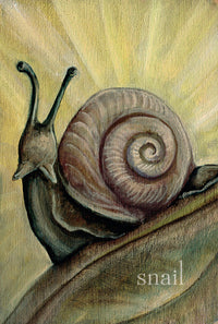 Liminal Spirits oracle, Witch's Spirit Cards by Laura Tempes Zakroff