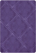 Earth Warriors oracle by Alana Fairchild