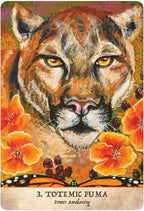 Earth Warriors oracle by Alana Fairchild