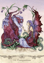 Fairy Wisdom oracle by Brown & Brown