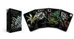 Flowers of the Night Oracle card set with a box on a white background