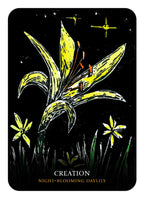 Card featuring a night-blooming daylily with 'Creation' text on a black background