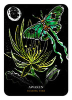 Tarot card with a green butterfly and plant design on a black background, featuring the word 'Awaken'.