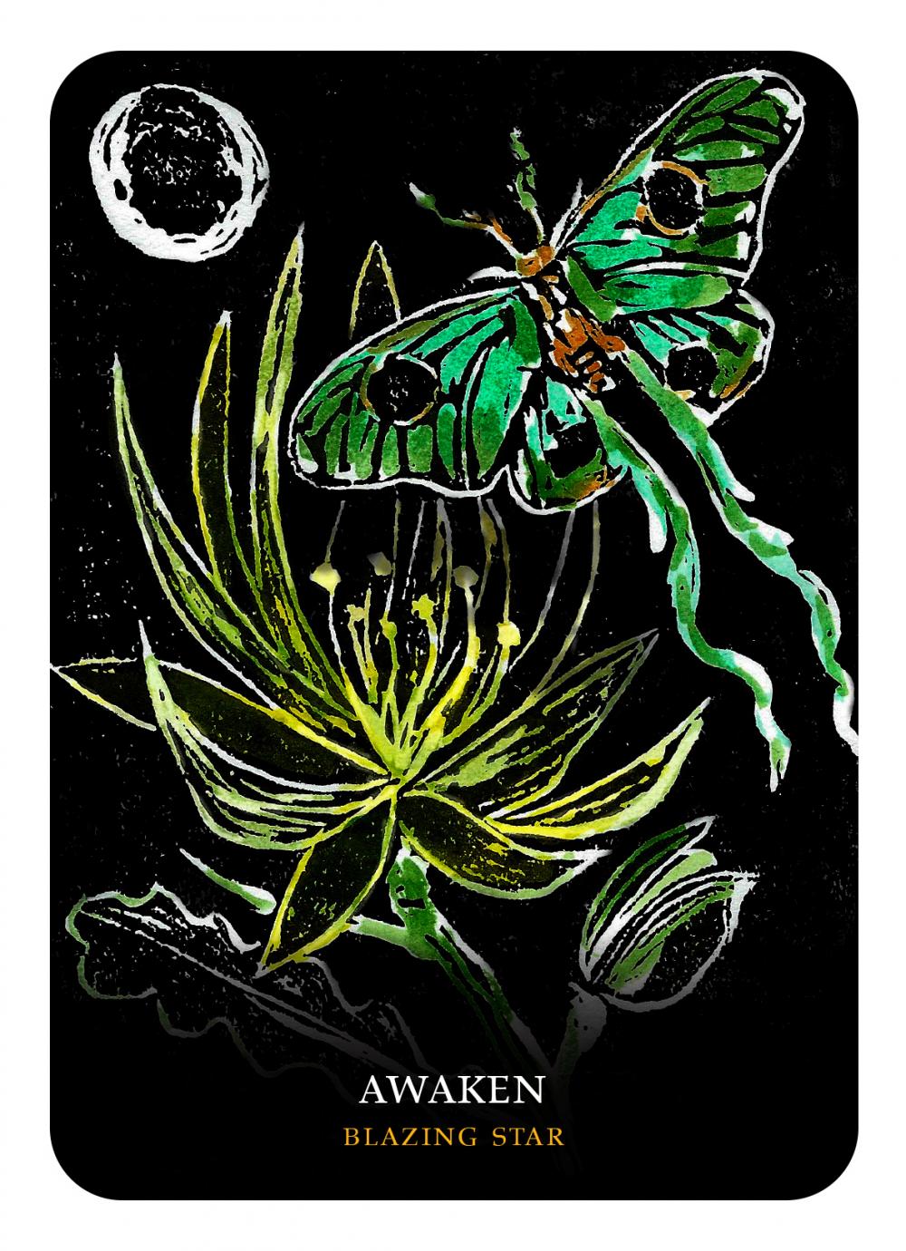 Tarot card with a green butterfly and plant design on a black background, featuring the word 'Awaken'.