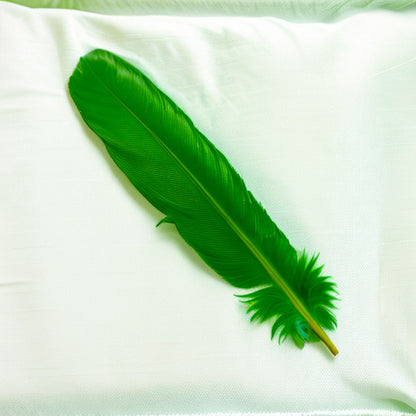 Dyed Green Turkey Feathers