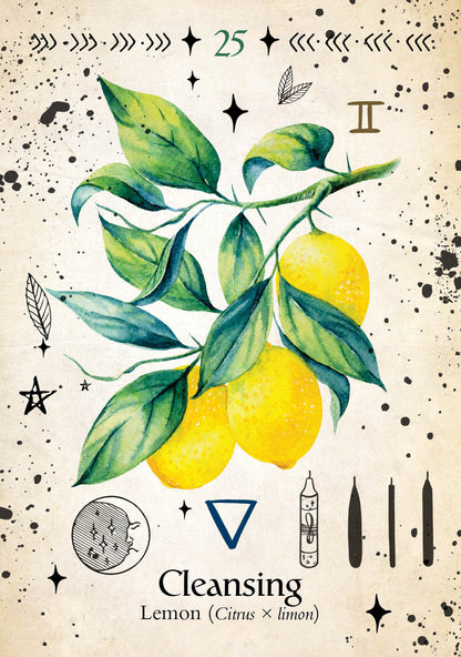 Card with lemons and leaves on a speckled background, labeled 'Cleansing'.