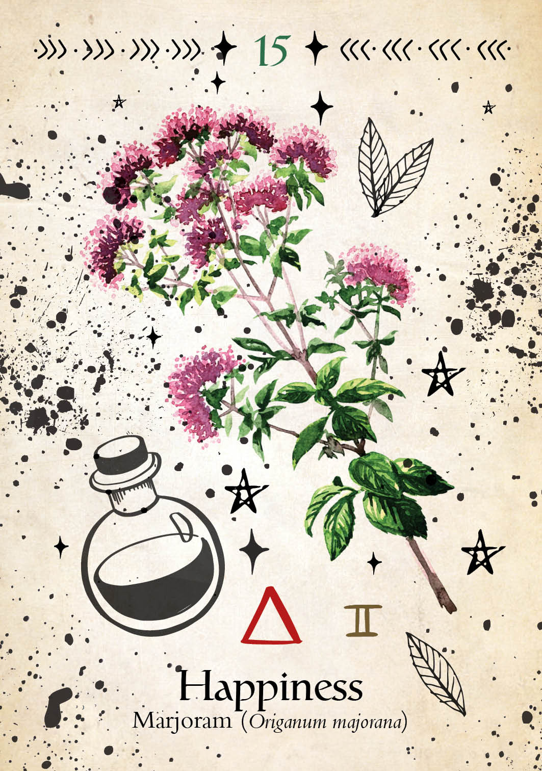 Illustration of marjoram plant with a bottle and symbols on a textured background