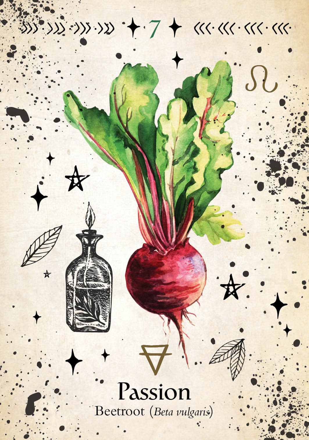 Illustration of a beetroot with leaves on a speckled background, featuring the word 'Passion'.