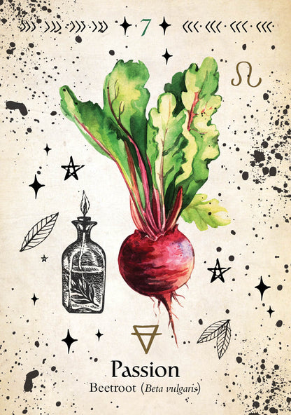 Illustration of a beetroot with leaves on a speckled background, featuring the word 'Passion'.