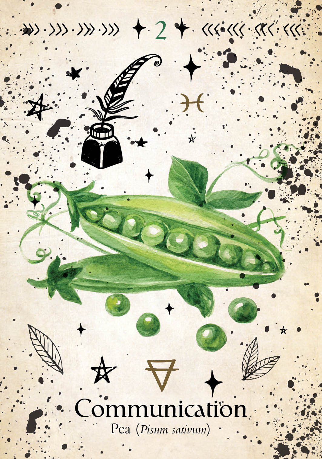 Illustration of a pea pod with peas and text 'Communication' on a decorative background.