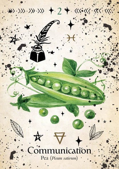 Illustration of a pea pod with peas and text 'Communication' on a decorative background.
