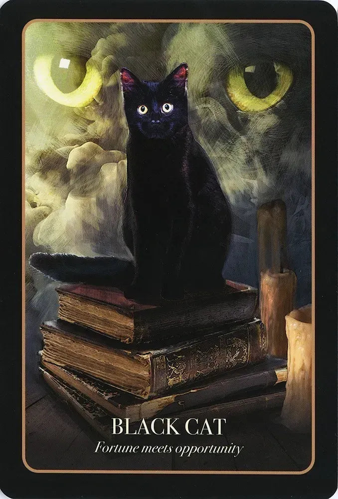 Halloween oracle by Stacey Demarco