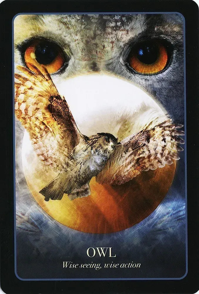 Halloween oracle by Stacey Demarco