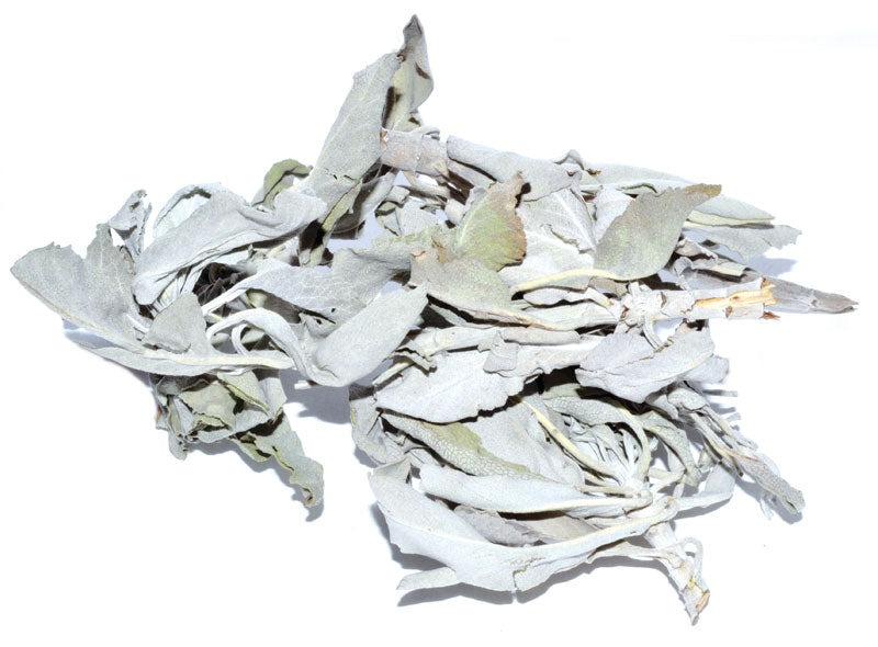 Loose White Sage