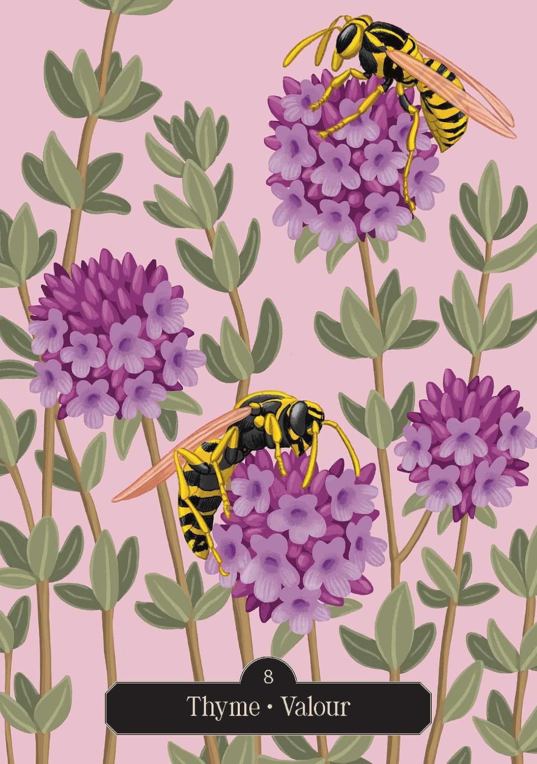 Illustration of wasps on purple flowers with a pink background