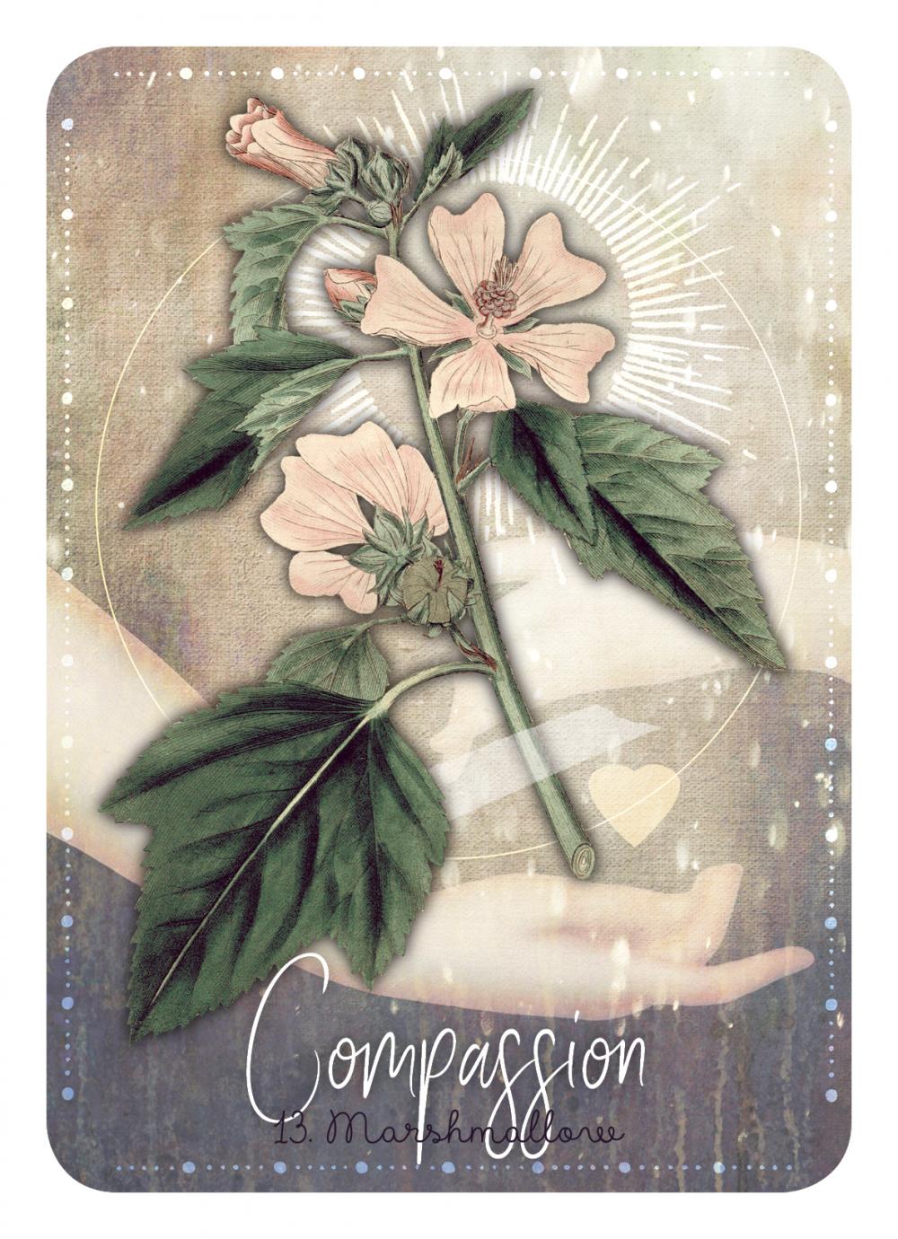 Card with floral design and the word 'Compassion' on a textured background