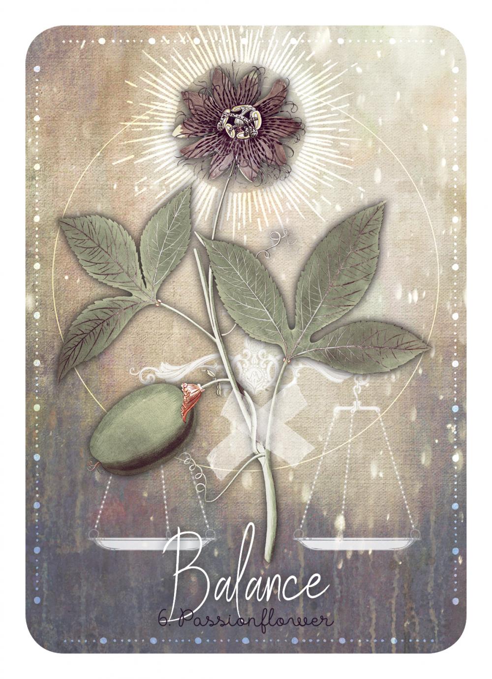 Card with a flower and leaves design labeled 'Balance' on a textured background