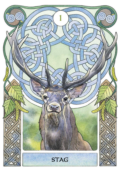 The Celtic Astrology Oracle