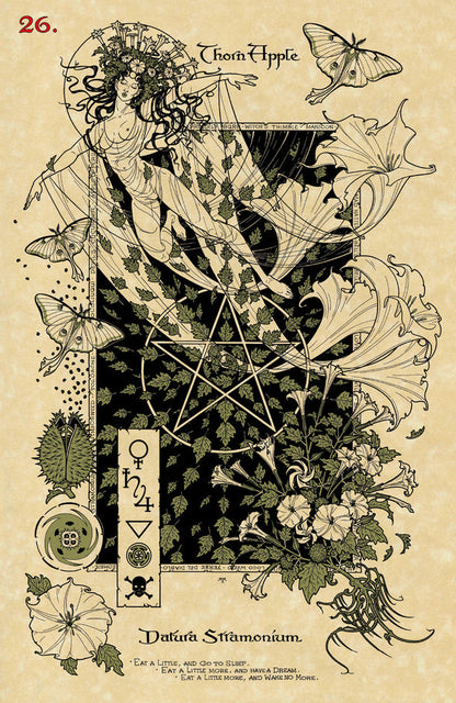 The Magickal Botanical Oracle 