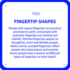 Text about fingertip shapes with a blue border on a white background