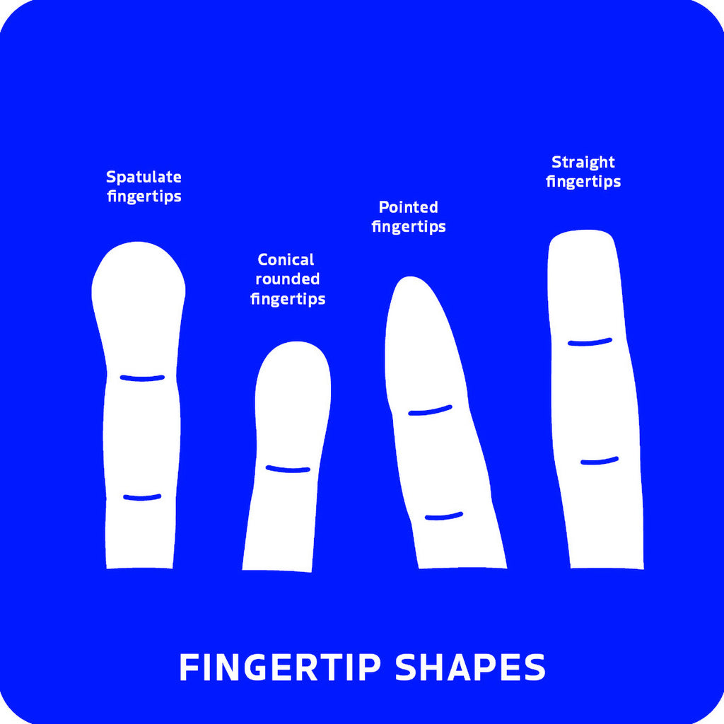 Diagram of different fingertip shapes on a blue background
