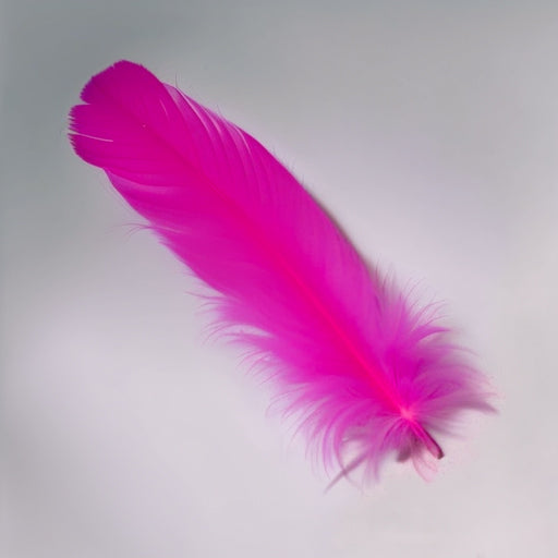 Dyed Pink Turkey Feathers