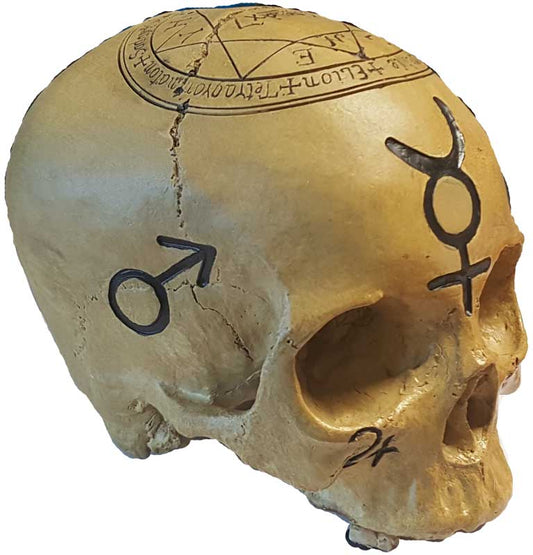 Alchemical Mystic Skull
