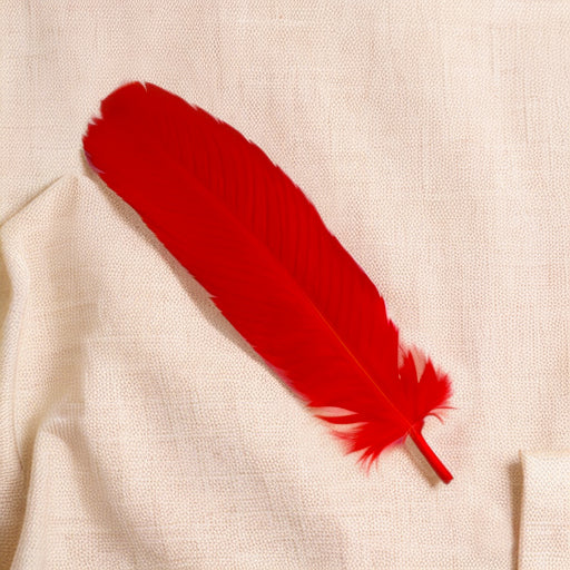 Dyed Red Turkey Feathers