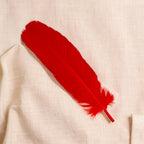 Dyed Red Turkey Feathers