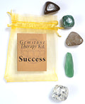 Gemstone Therapy Kit labeled 'Success' with various stones on a white background