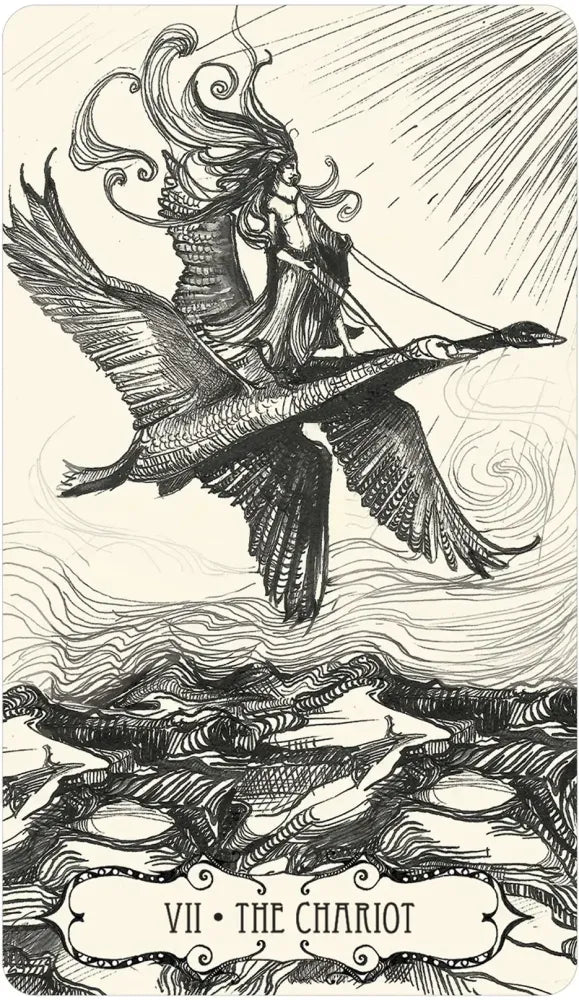 Illustration of 'The Chariot' from a tarot card, featuring a woman on a chariot with swans.