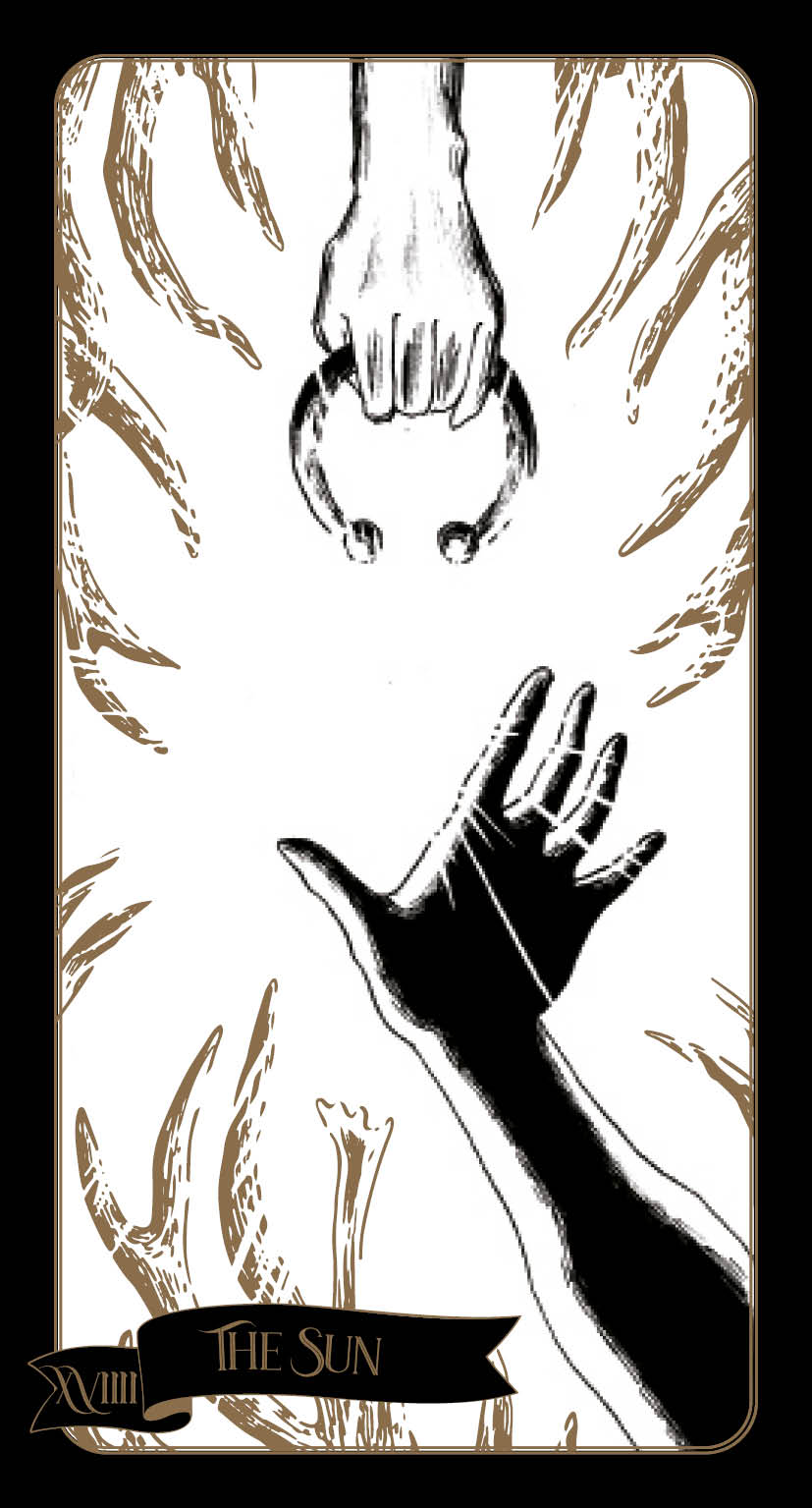 Tarot card titled 'The Sun' with a black hand reaching towards the sun, surrounded by nature elements.