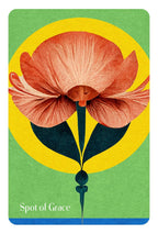 Floral design with a pink flower and green leaves on a yellow circle, labeled 'Spot of Grace'.
