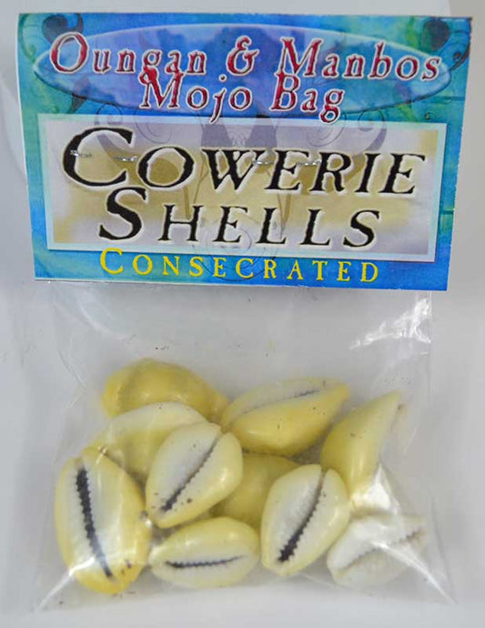 Consecrated Cowrie Shells 